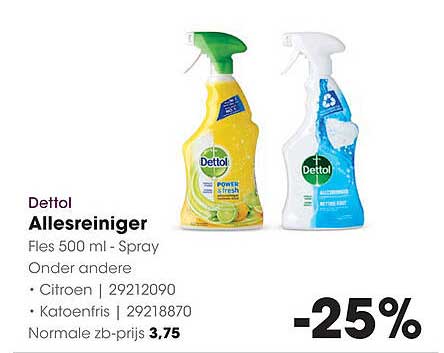 Dettol Allesreiniger Fles 500 ml - Spray