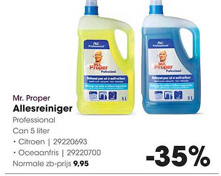 Mr. Proper Allesreiniger Professional Can 5 liter
