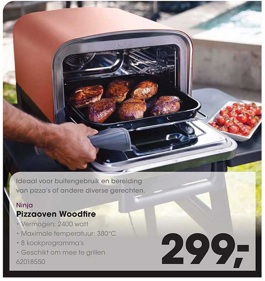 Ninja Pizzaoven Woodfire