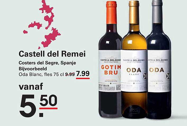 Castell del Remei