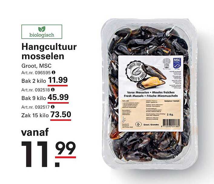 Hangcultuur mosselen