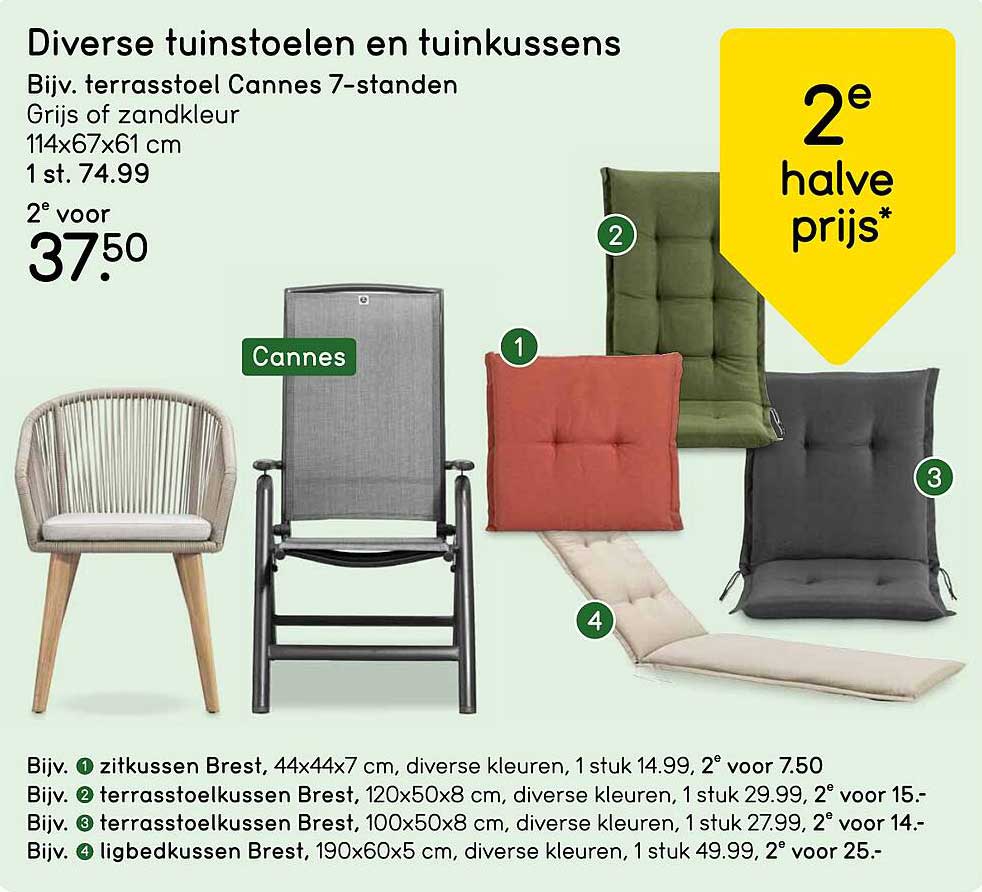 Diverse tuinstoelen en tuinkussens