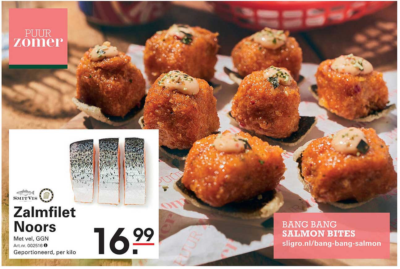 Zalmfilet Noors