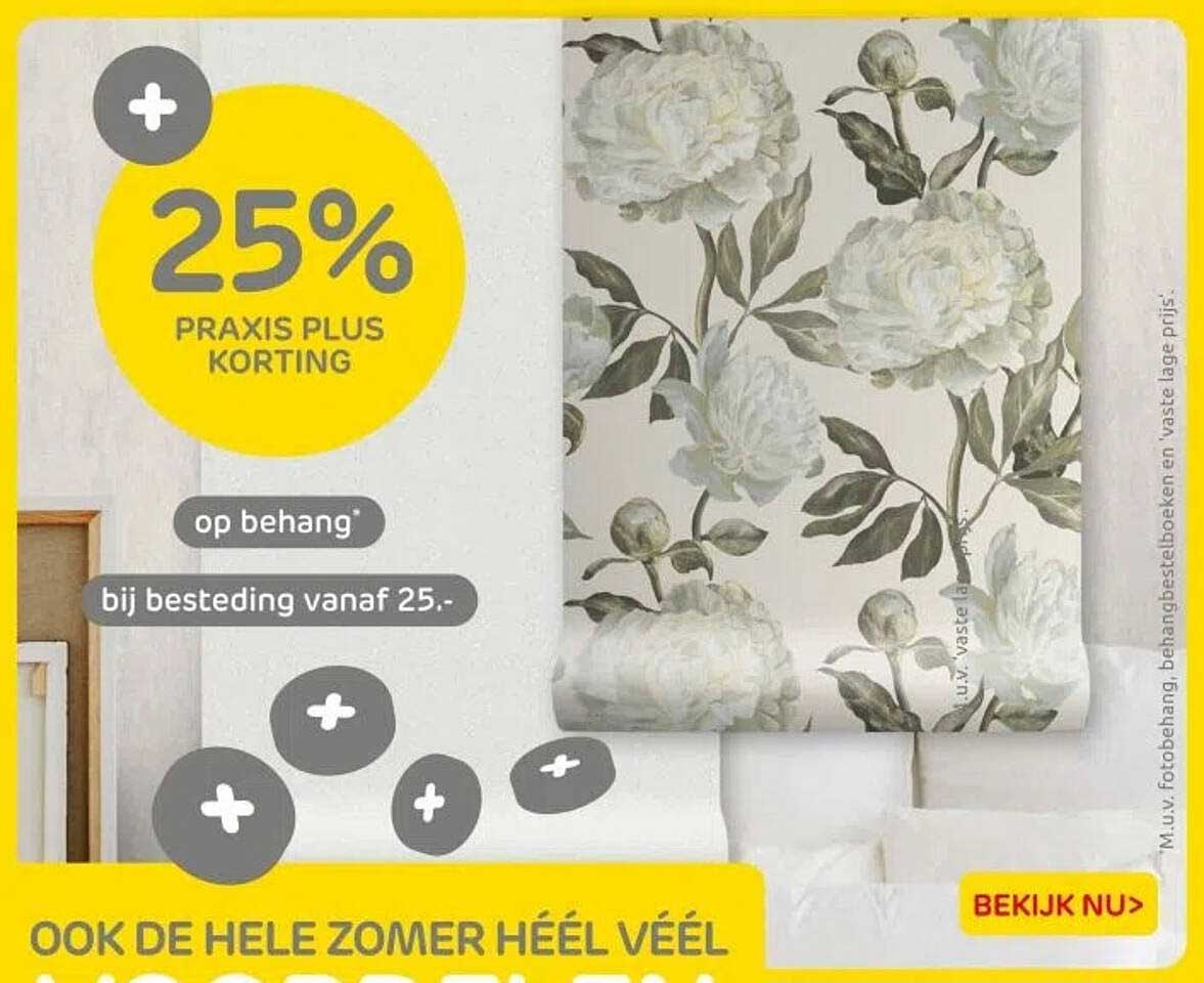 25% PRAKIS PLUS KORTING op behang bij besteding vanaf 25.