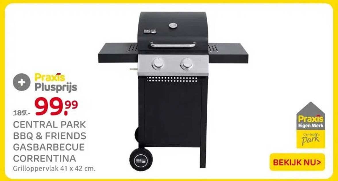 CENTRAL PARK BBQ & FRIENDS GASBARBECUE CORRENTINA
