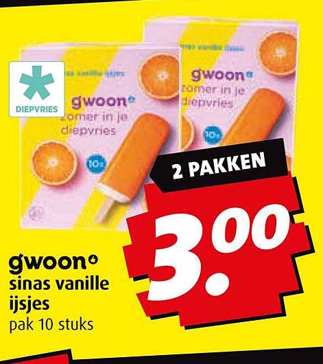 gwoon sinas vanille ijsjes pak 10 stuks