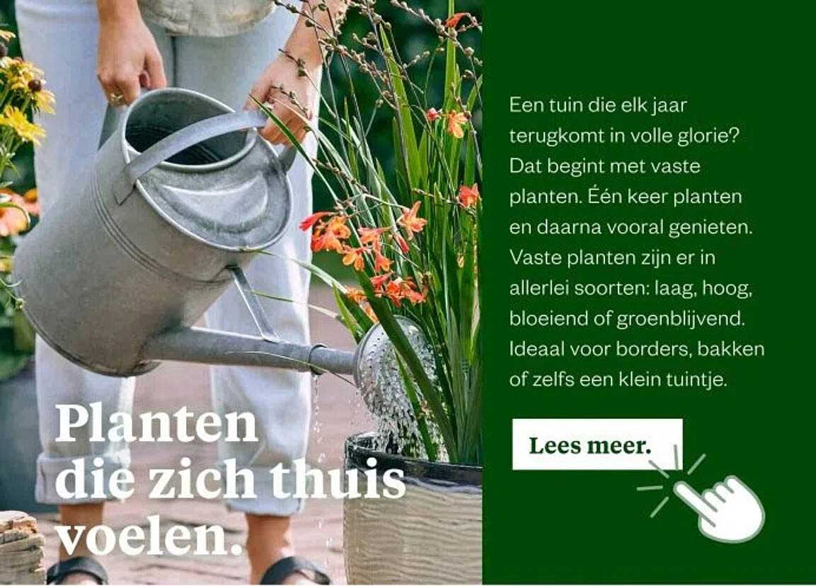 Planten die zich thuis voelen.