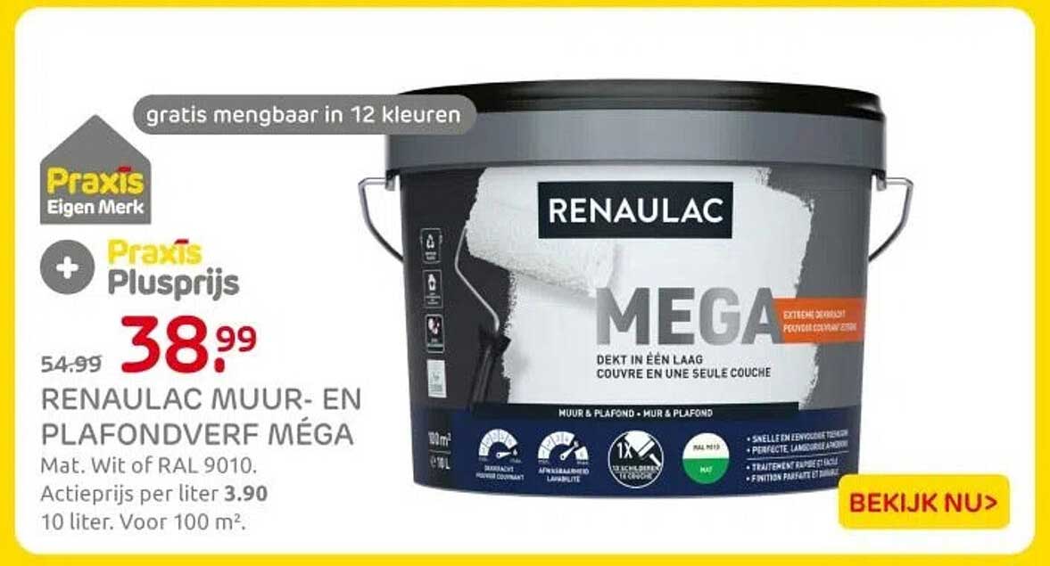 RENAULAC MUUR- EN PLAFONDVERF MÉGA