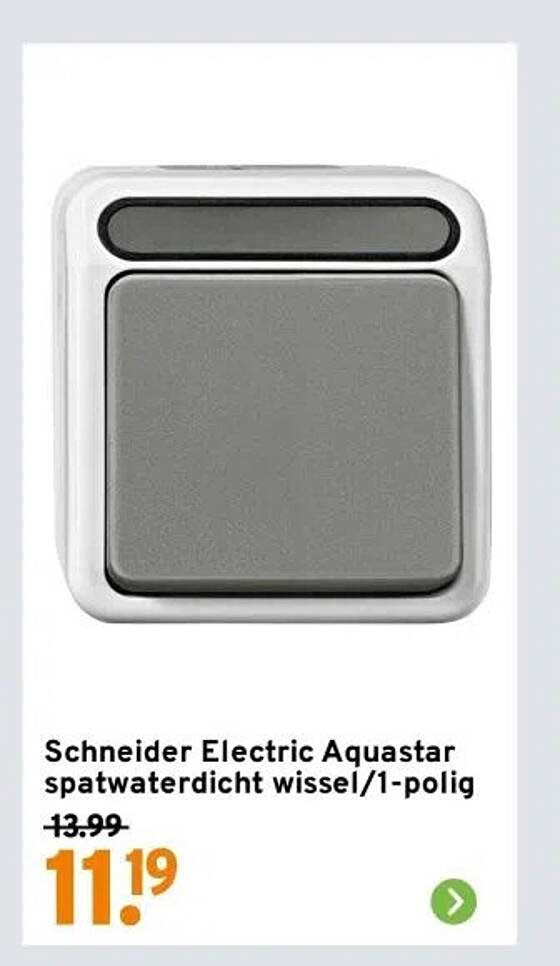 Schneider Electric Aquastar spatwaterdicht wissel/1-polig