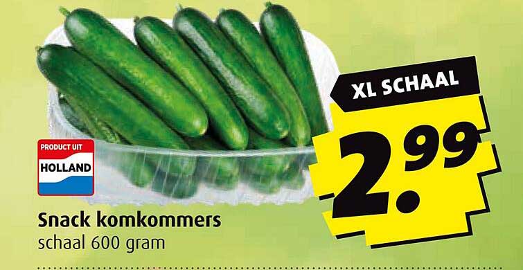 Snack komkommers schaal 600 gram