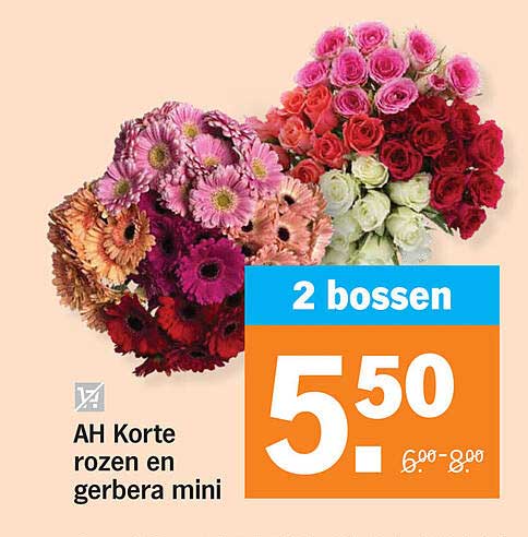 AH Korte rozen en gerbera mini