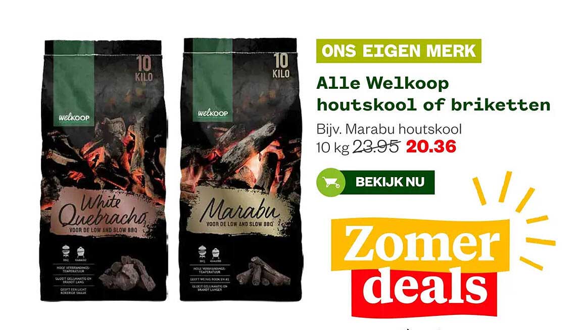Alle Welkoop houtskool of briketten