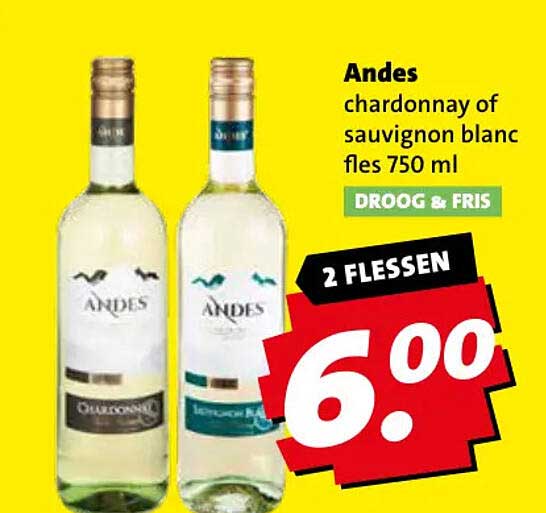 Andes chardonnay of sauvignon blanc fles 750 ml DROOG & FRIS 2 FLESSEN
