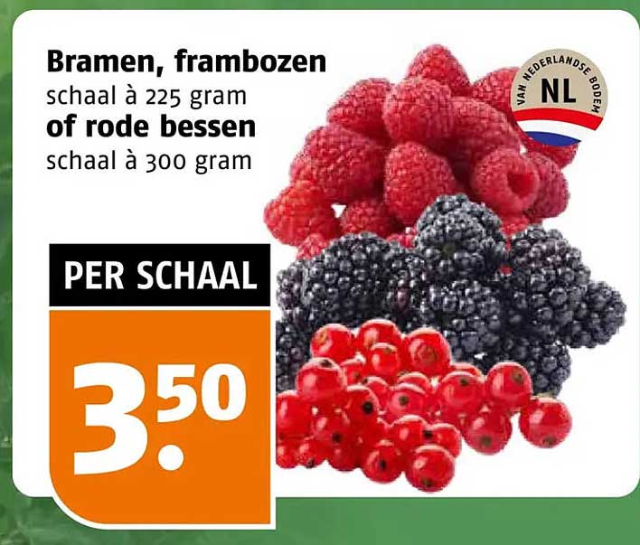 Bramen, frambozen schaal à 225 gram of rode bessen schaal à 300 gram PER SCHAAL