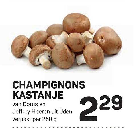 CHAMPIGNONS KASTANJE