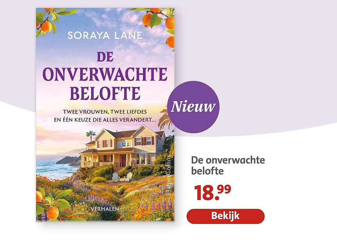 De onverwachte belofte