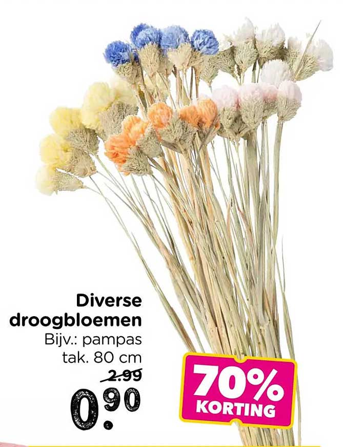 Diverse droogbloemen Bijv.: pampas tak. 80 cm 70% KORTING