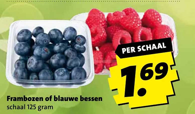 Frambozen of blauwe bessen schaal 125 gram
