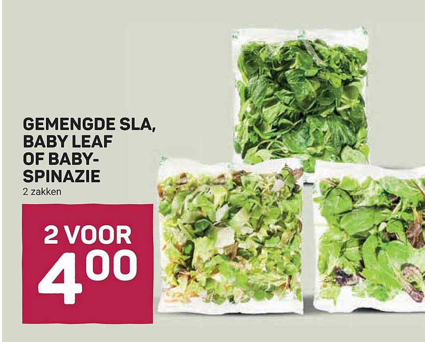 GEMENGDE SLA, BABY LEAF OF BABY-SPINAZIE 2 zakken