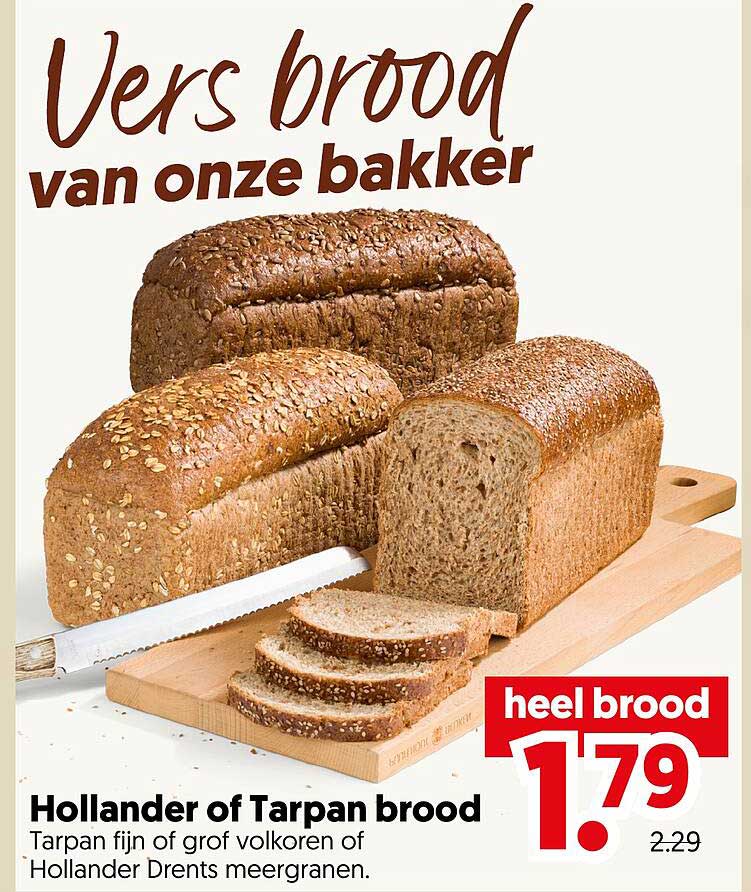 Hollander of Tarpan brood heel brood