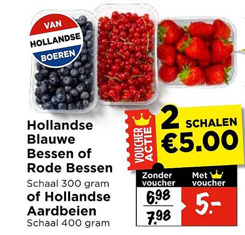Hollandse Blauwe Bessen of Rode Bessen Schaal 300 gram of Hollandse Aardbeien Schaal 400 gram 2 schalen €5.00