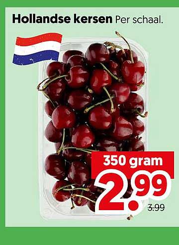 Hollandse kersen Per schaal.