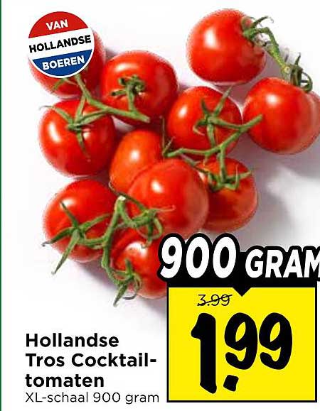 Hollandse Tros Cocktail-tomaten XL-schaal 900 gram
