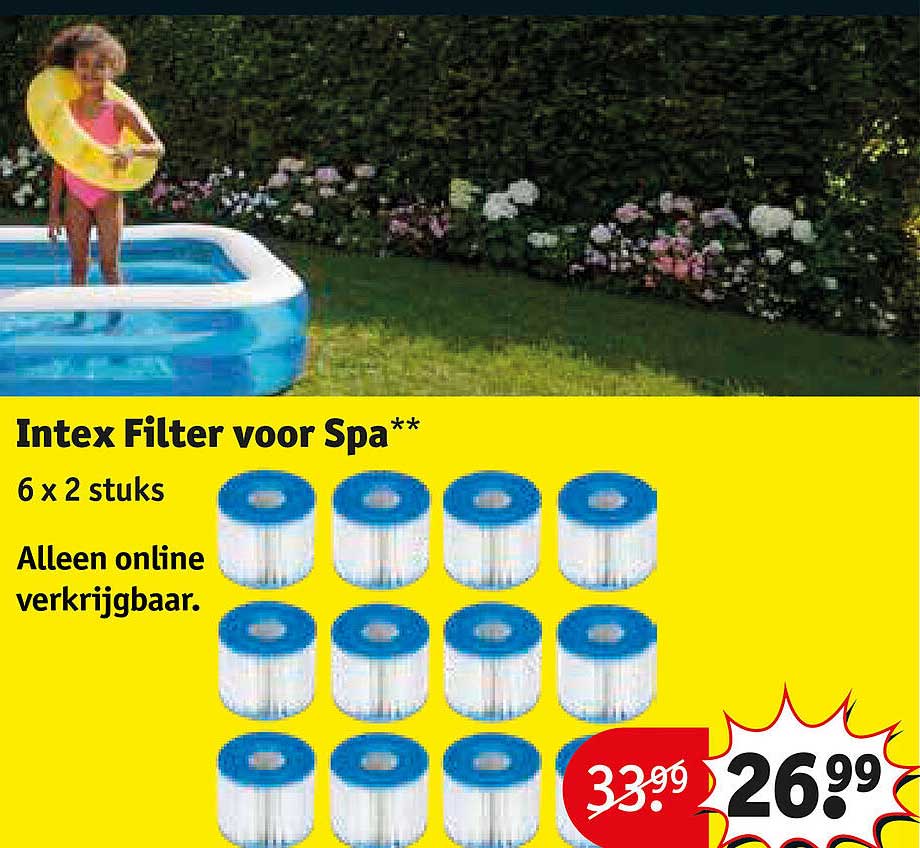 Intex Filter voor Spa**