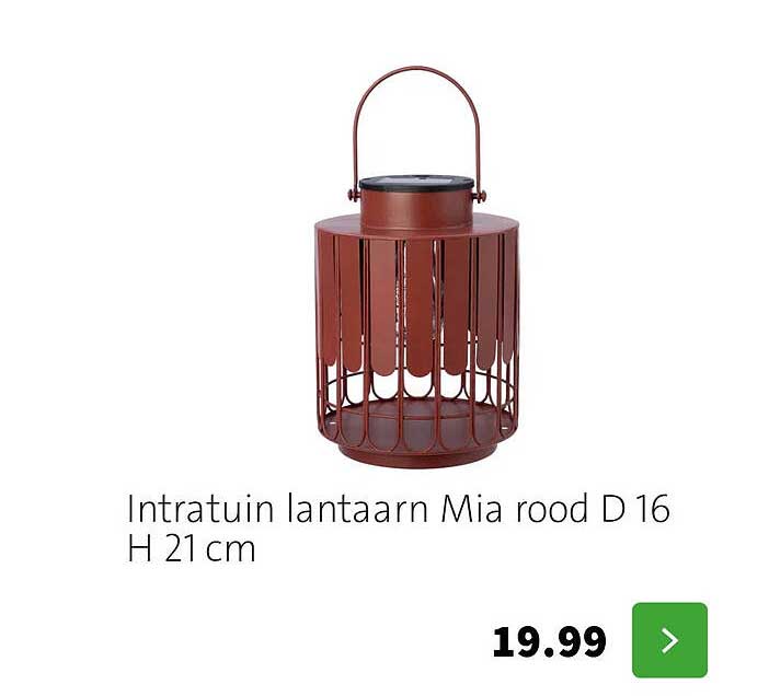Intratuin lantaarn Mia rood D 16 H 21 cm