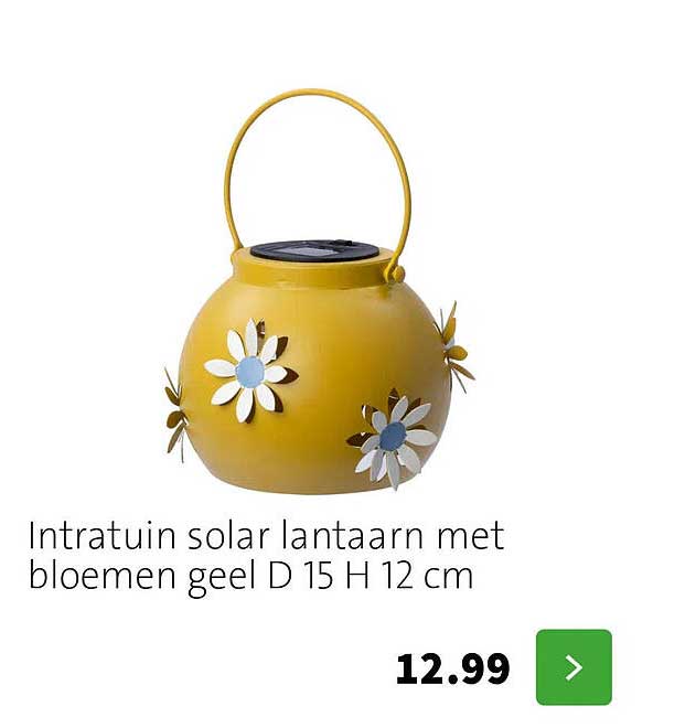 Intratuin solar lantaarn met bloemen geel D 15 H 12 cm