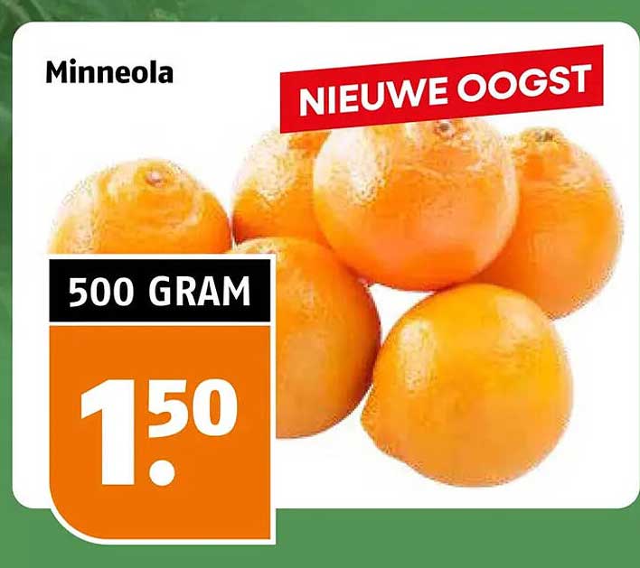 Minneola NIEUWE OOGST 500 GRAM