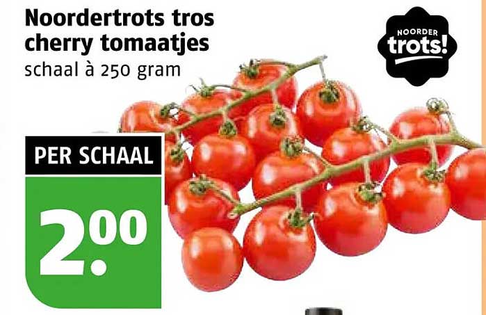 Noordertrots tros cherry tomaatjes schaal à 250 gram