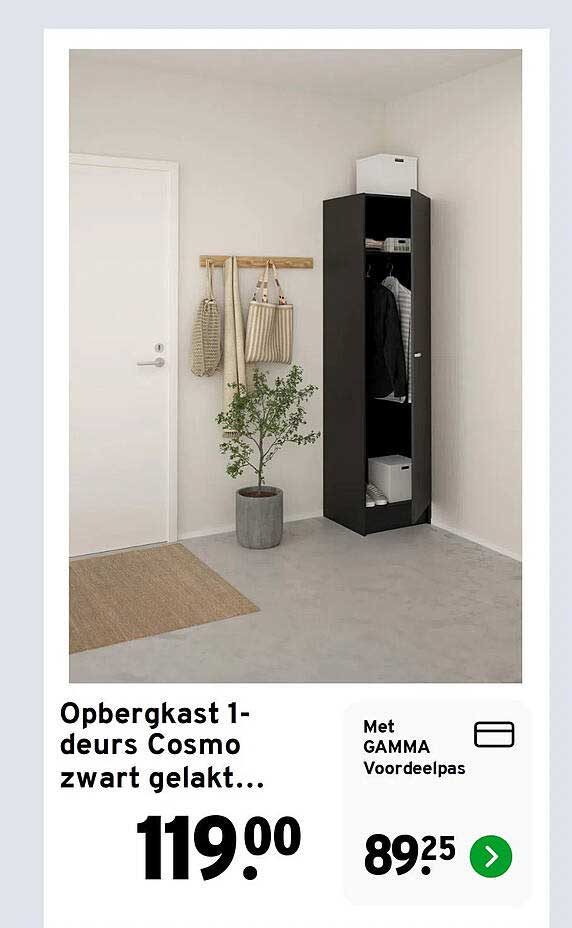 Opbergkast 1-deurs Cosmo zwart gelakt...
