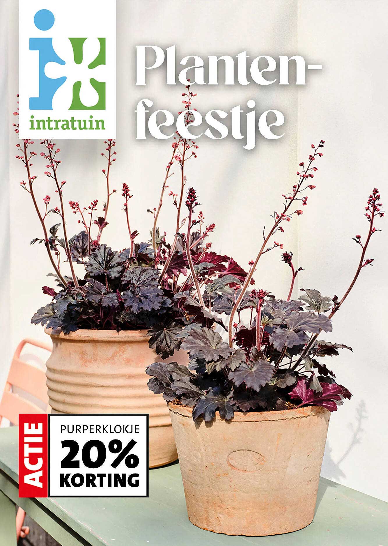 Purperklokje 20% korting