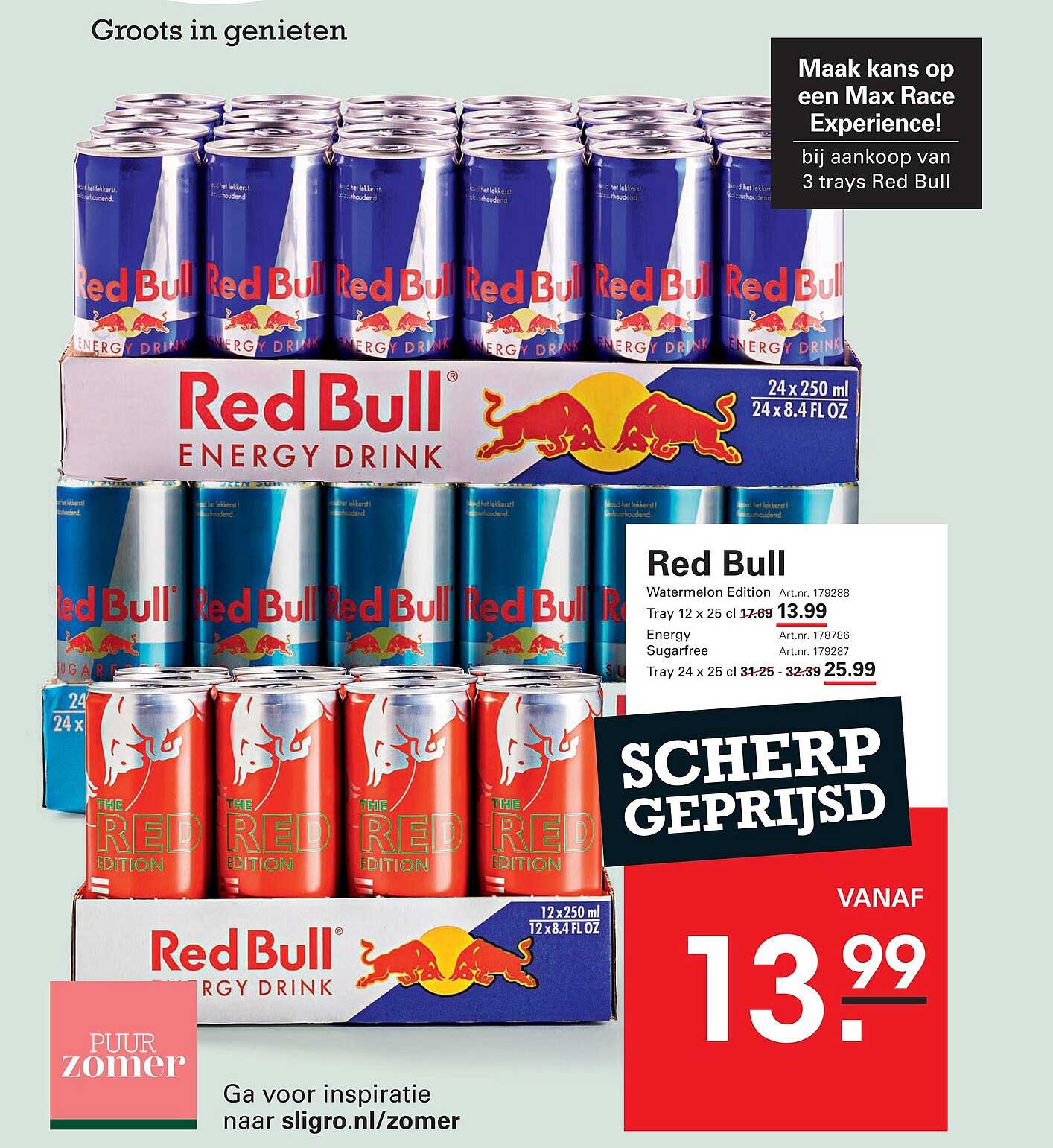 Red Bull Watermelon Edition Tray 12 x 25 cl