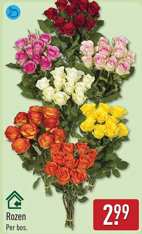 Rozen Per bos.