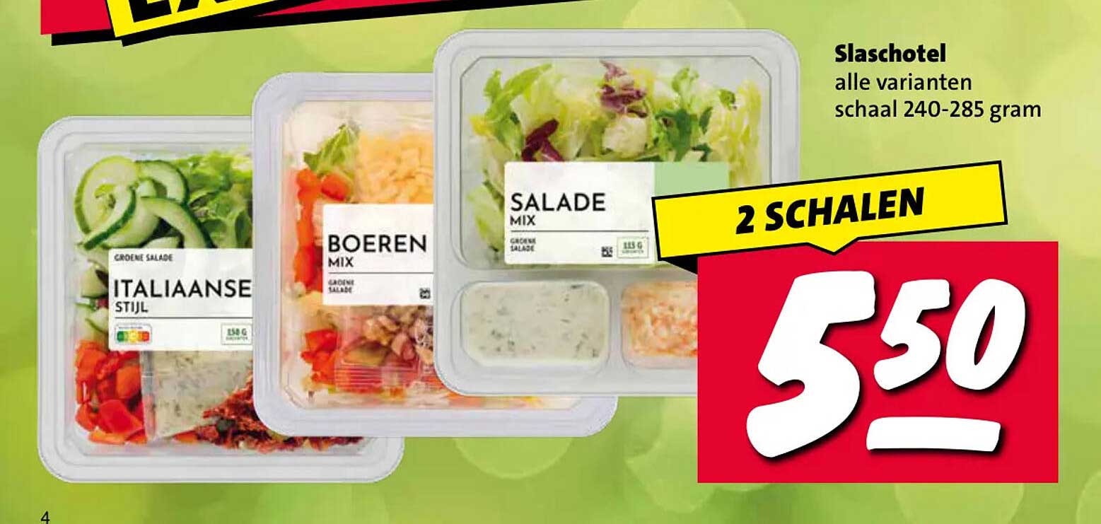 Slaschotel alle varianten schaal 240-285 gram 2 schalen