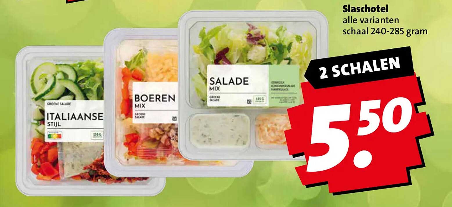 Slasschotel alle varianten schaal 240-285 gram 2 SCHALEN