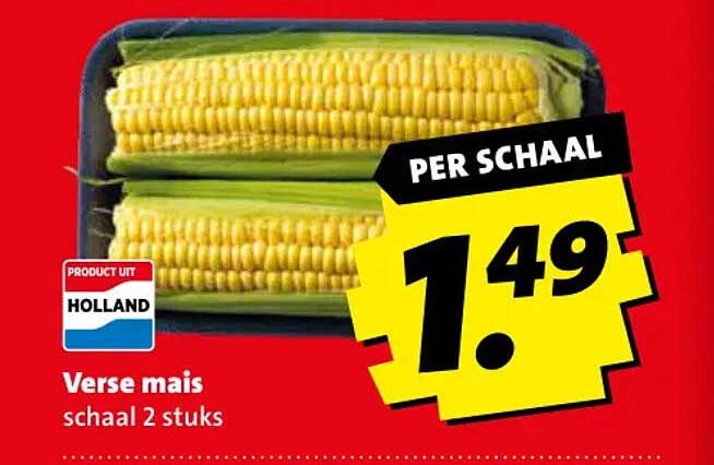 Verse mais schaal 2 stuks PER SCHAAL
