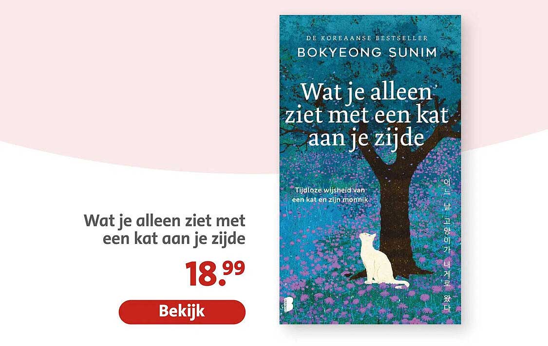 Wat je alleen ziet met een kat aan je zijde