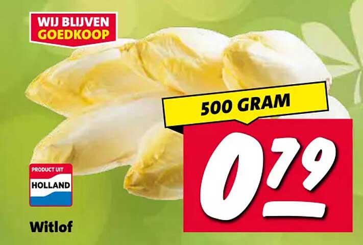 Witlof 500 gram