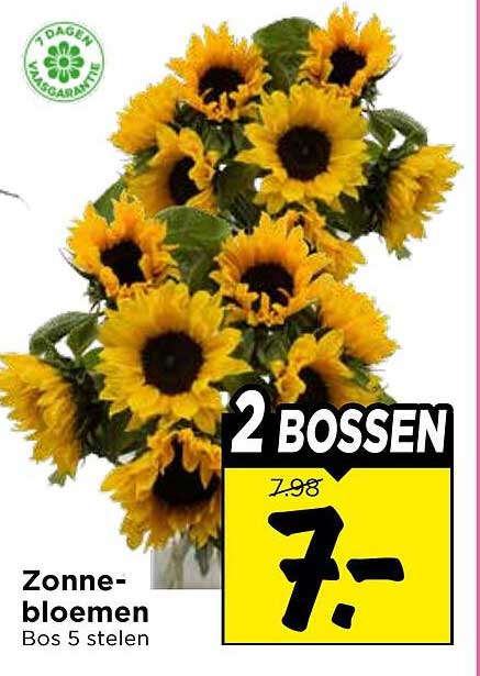 Zonne-bloemen Bos 5 stelen 2 bossen