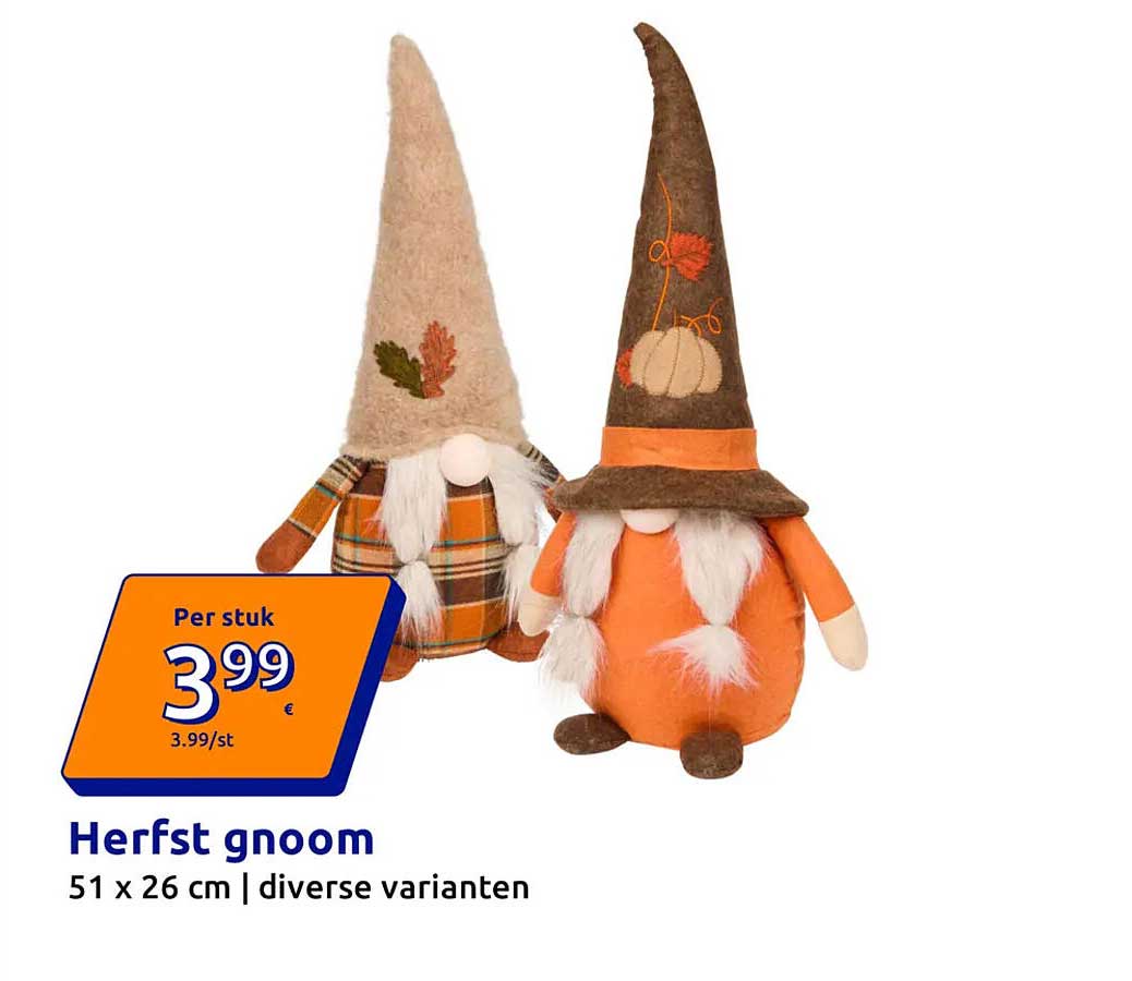 Herfst gnoom 51 x 26 cm | diverse varianten