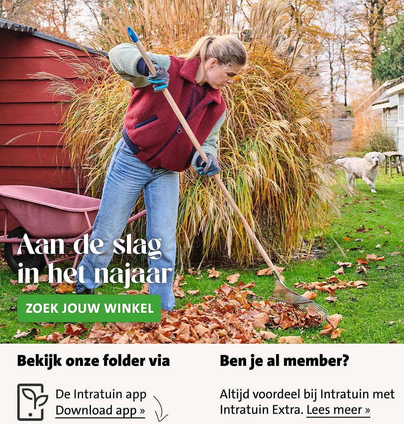 Aan de slag in het najaar