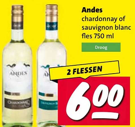 Andes chardonnay of sauvignon blanc fles 750 ml 2 FLESSEN