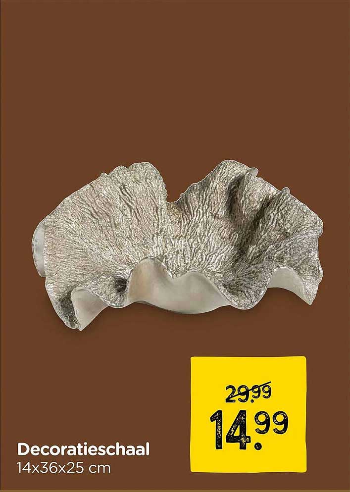 Decoratieschaal 14x36x25 cm