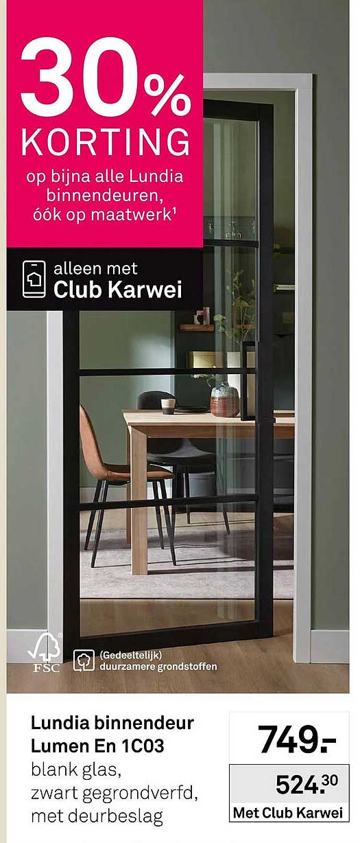 Lundia binnendeur Lumen En 1C03 blank glas, zwart gegrondverfd, met deurbeslag 30% korting