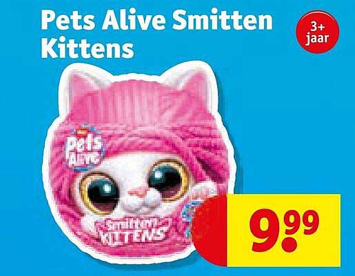 Pets Alive Smitten Kittens