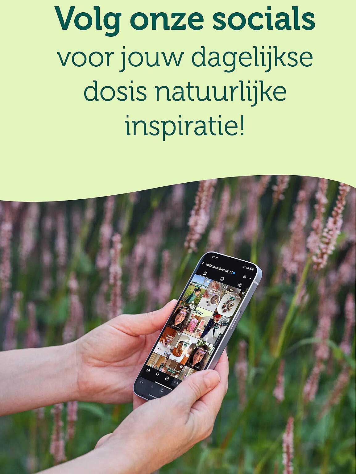 Volg onze socials voor jouw dagelijkse dosis natuurlijke inspiratie!