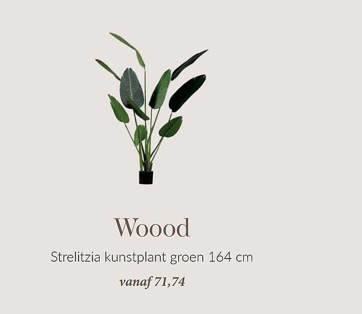 Wooood Strelitzia kunstplant groen 164 cm